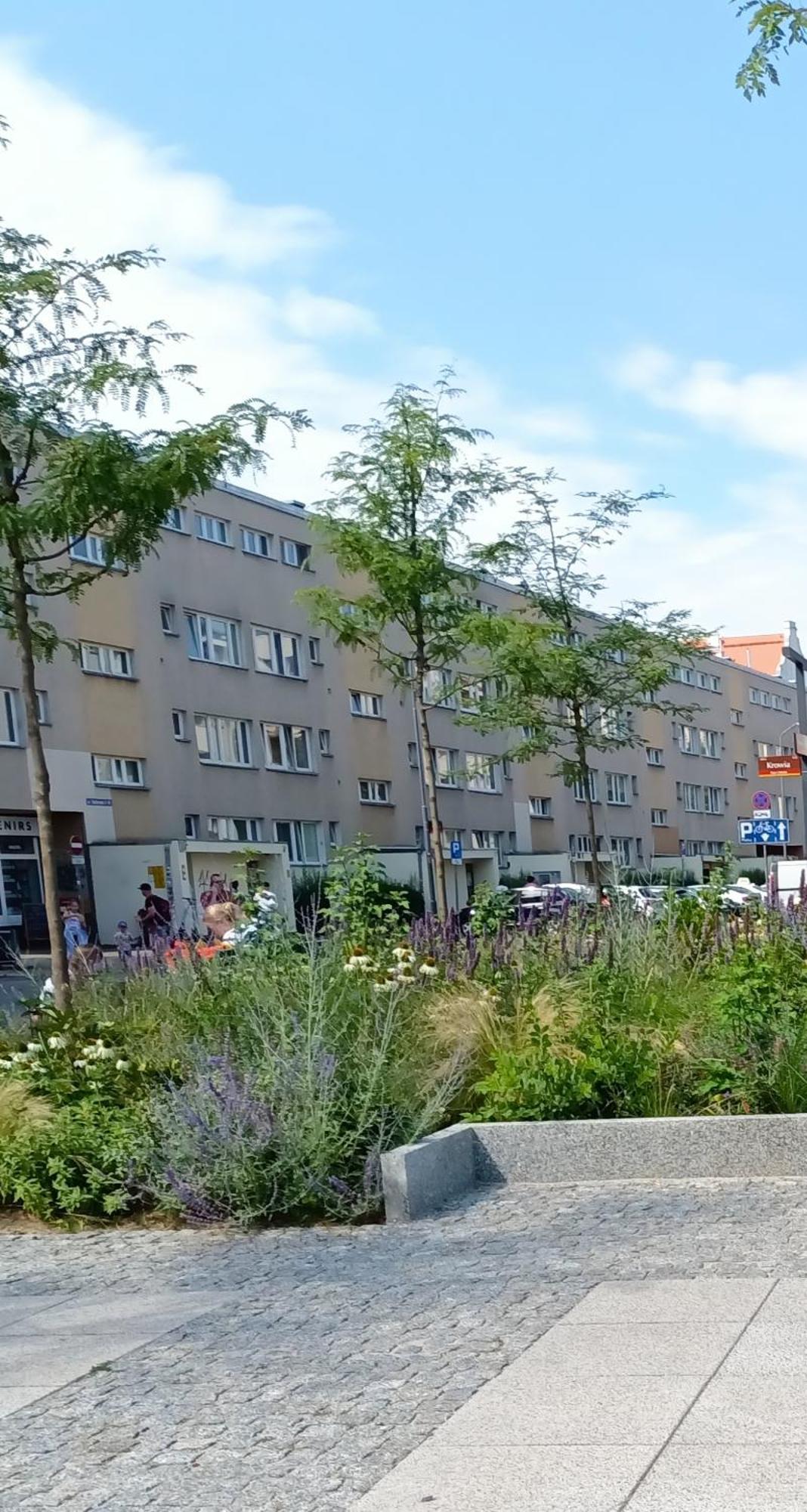 Kotlarska Apartment Wrocław Buitenkant foto